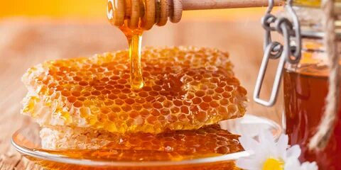 ملعقة من عسل النحل تصنع المعجزات التي لا تتخيلها .. اعرف أسرار العسل الذهبية